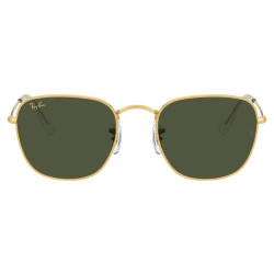 RAY-BAN FRANK 3857/919631/51