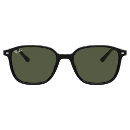 RAY-BAN LEONARD RB2193/901/31/53