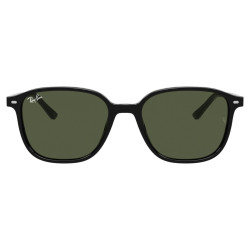 RAY-BAN LEONARD RB2193/901/31/53