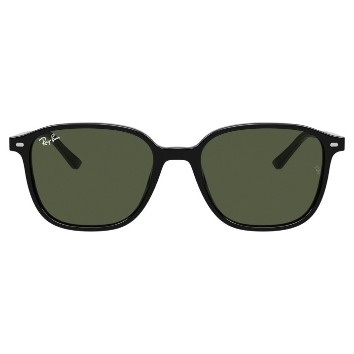 RAY-BAN LEONARD RB2193/901/31/53