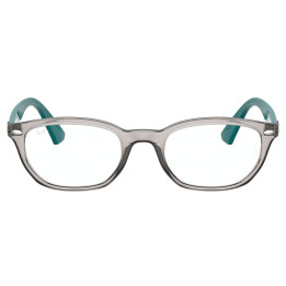 RAY-BAN 1599/3842/48