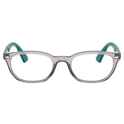 RAY-BAN 1599/3842/48