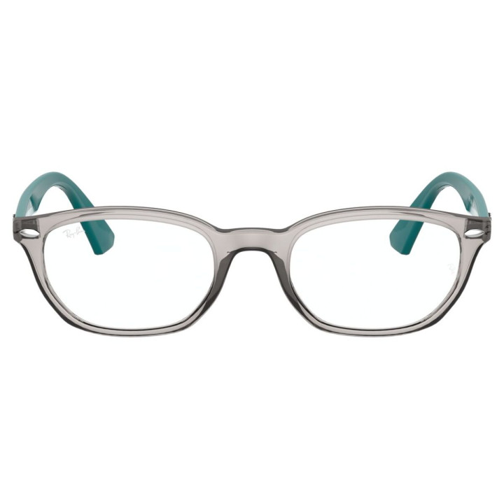 RAY-BAN 1599/3842/48