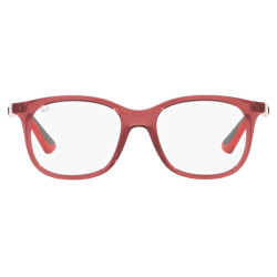 RAY-BAN 1604/3866/44