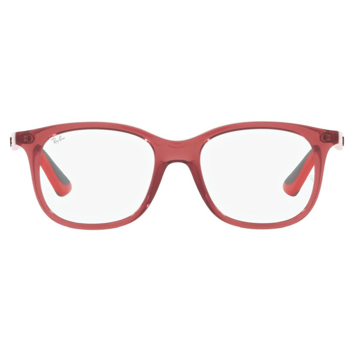 RAY-BAN 1604/3866/44